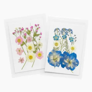 Dried Flowers